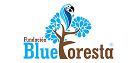 fractal-clientes-logo-blue-foresta